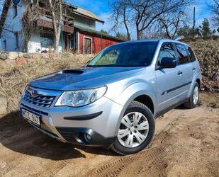 Subaru Forester Gebrauchtwagen