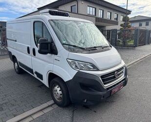 Fiat Ducato Gebrauchtwagen