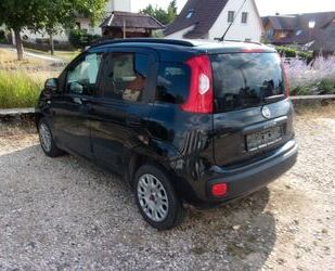 Fiat Panda Gebrauchtwagen