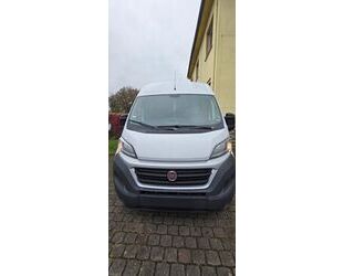 Fiat Ducato Gebrauchtwagen