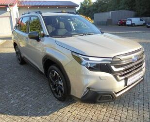 Subaru Forester Gebrauchtwagen