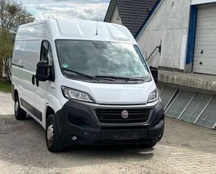 Fiat Ducato Gebrauchtwagen
