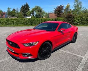 Ford Mustang Gebrauchtwagen