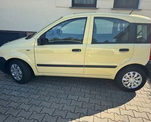 Fiat Panda Gebrauchtwagen