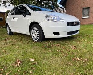 Fiat Punto Gebrauchtwagen