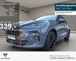 Cupra Terramar Gebrauchtwagen