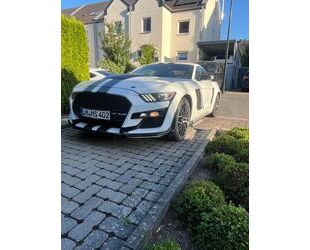 Ford Mustang Gebrauchtwagen