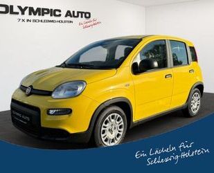 Fiat Panda Gebrauchtwagen