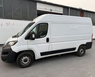 Fiat Ducato Gebrauchtwagen