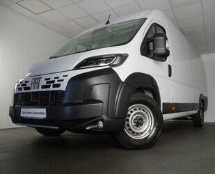 Fiat Ducato Gebrauchtwagen