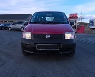 Fiat Panda Gebrauchtwagen