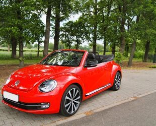 VW Beetle Gebrauchtwagen