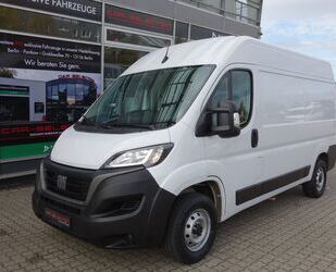 Fiat Ducato Gebrauchtwagen