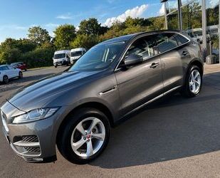 Jaguar F-Pace Gebrauchtwagen