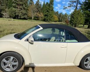 VW Beetle Gebrauchtwagen