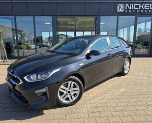 Kia ceed / Ceed Gebrauchtwagen