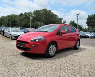 Fiat Punto Gebrauchtwagen