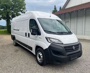 Fiat Ducato Gebrauchtwagen