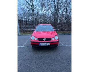 VW Polo Gebrauchtwagen