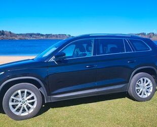Skoda Kodiaq Gebrauchtwagen