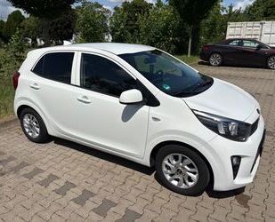 Kia Picanto Gebrauchtwagen
