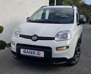 Fiat Panda Gebrauchtwagen