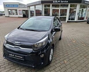 Kia Picanto Gebrauchtwagen