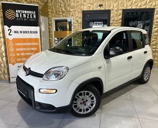 Fiat Panda Gebrauchtwagen