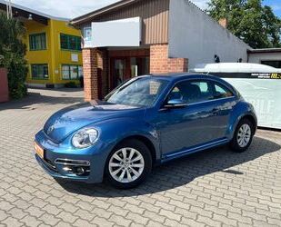 VW Beetle Gebrauchtwagen