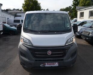 Fiat Ducato Gebrauchtwagen