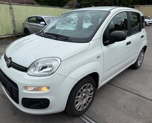 Fiat Panda Gebrauchtwagen