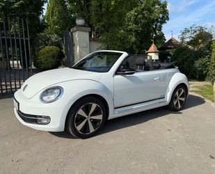 VW Beetle Gebrauchtwagen