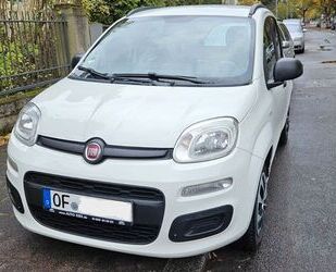 Fiat New Panda Gebrauchtwagen