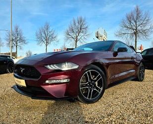 Ford Mustang Gebrauchtwagen