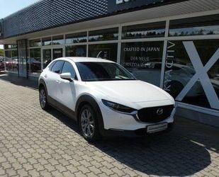 Mazda CX-30 Gebrauchtwagen