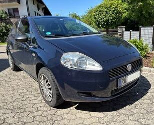 Fiat Punto Gebrauchtwagen