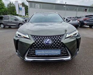 Lexus UX Gebrauchtwagen