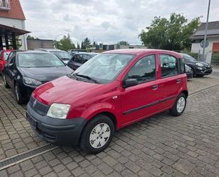 Fiat New Panda Gebrauchtwagen