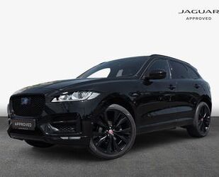 Jaguar F-Pace Gebrauchtwagen