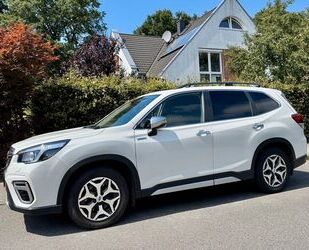 Subaru Forester Gebrauchtwagen
