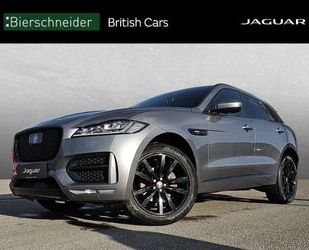 Jaguar F-Pace Gebrauchtwagen