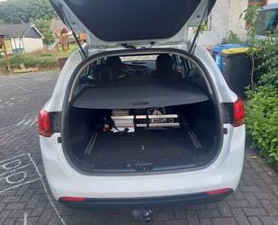 Kia ceed Sportswagon Gebrauchtwagen