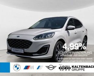 Ford Kuga Gebrauchtwagen