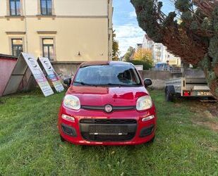 Fiat New Panda Gebrauchtwagen