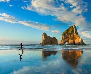 Land Rover Range Rover Evoque Gebrauchtwagen