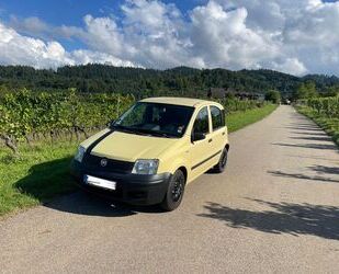 Fiat Panda Gebrauchtwagen