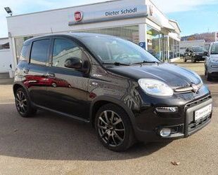 Fiat Panda Gebrauchtwagen