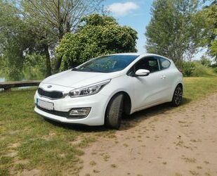 Kia ceed / Ceed Gebrauchtwagen