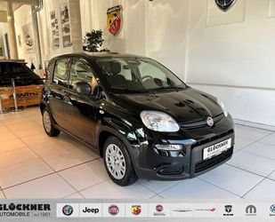 Fiat Panda Gebrauchtwagen