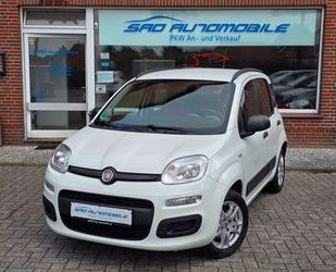 Fiat Panda Gebrauchtwagen